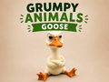 Grumpy Goose