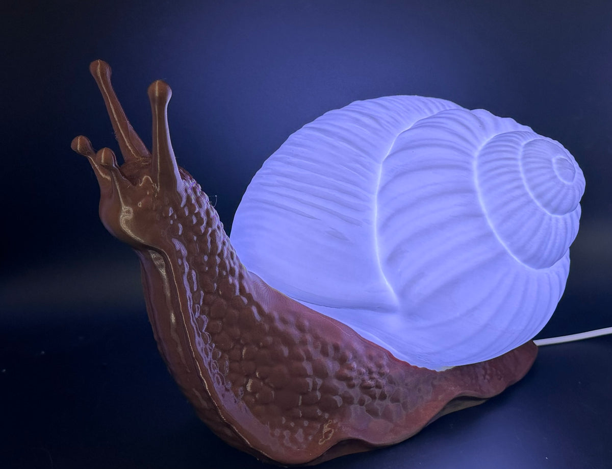 Snail LED Lamp in Choice of Colours for Bedroom, Living Room, etc.