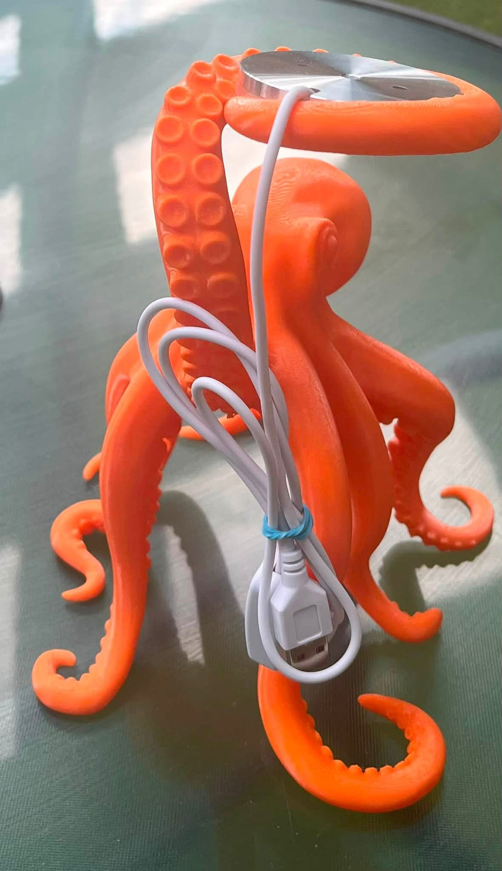 Octopus LED Table Lamp in Choice of Colours