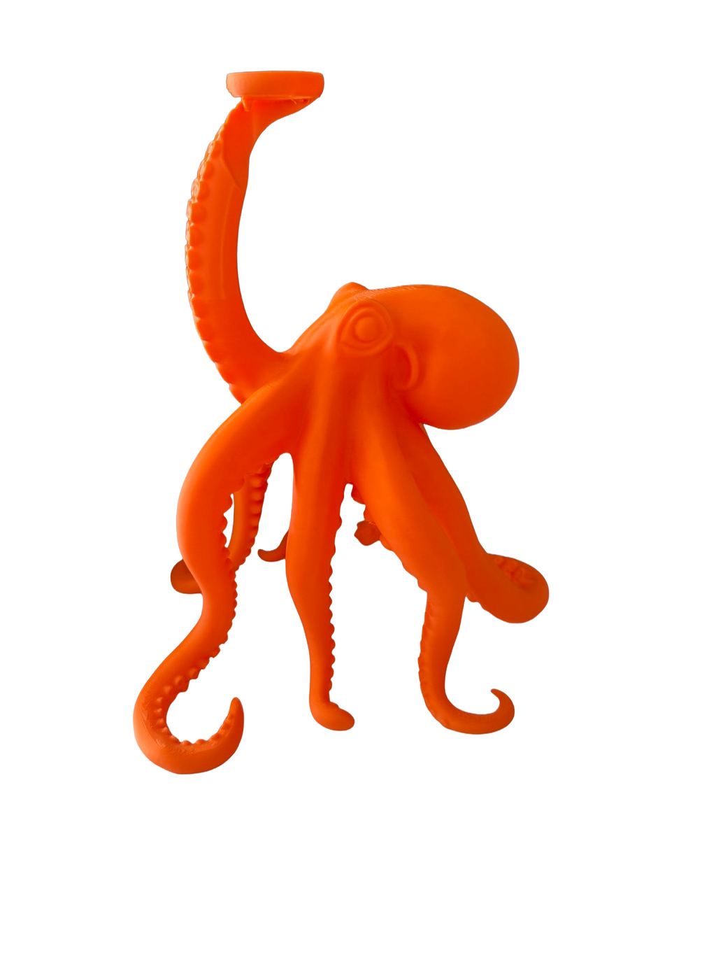 Octopus LED Table Lamp in Choice of Colours