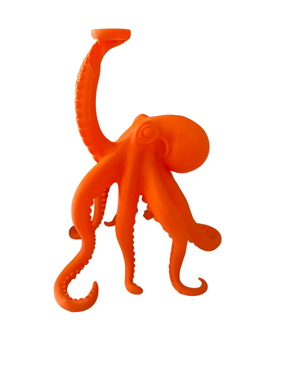 Octopus LED Table Lamp in Choice of Colours