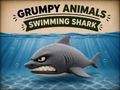 Grumpy Shark