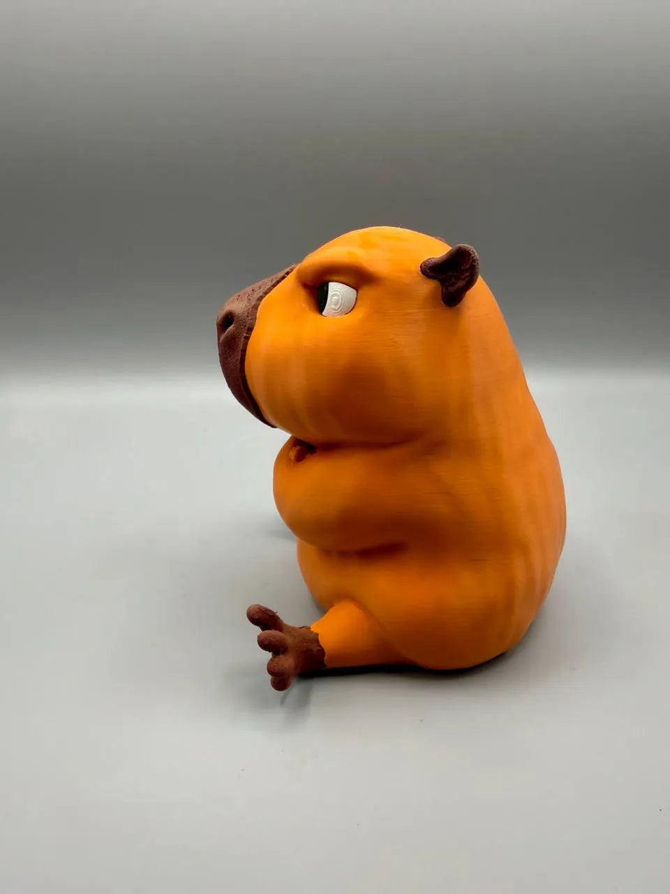 Grumpy Capybara