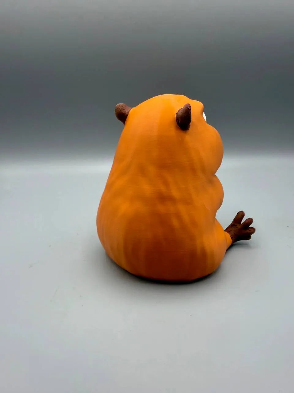 Grumpy Capybara