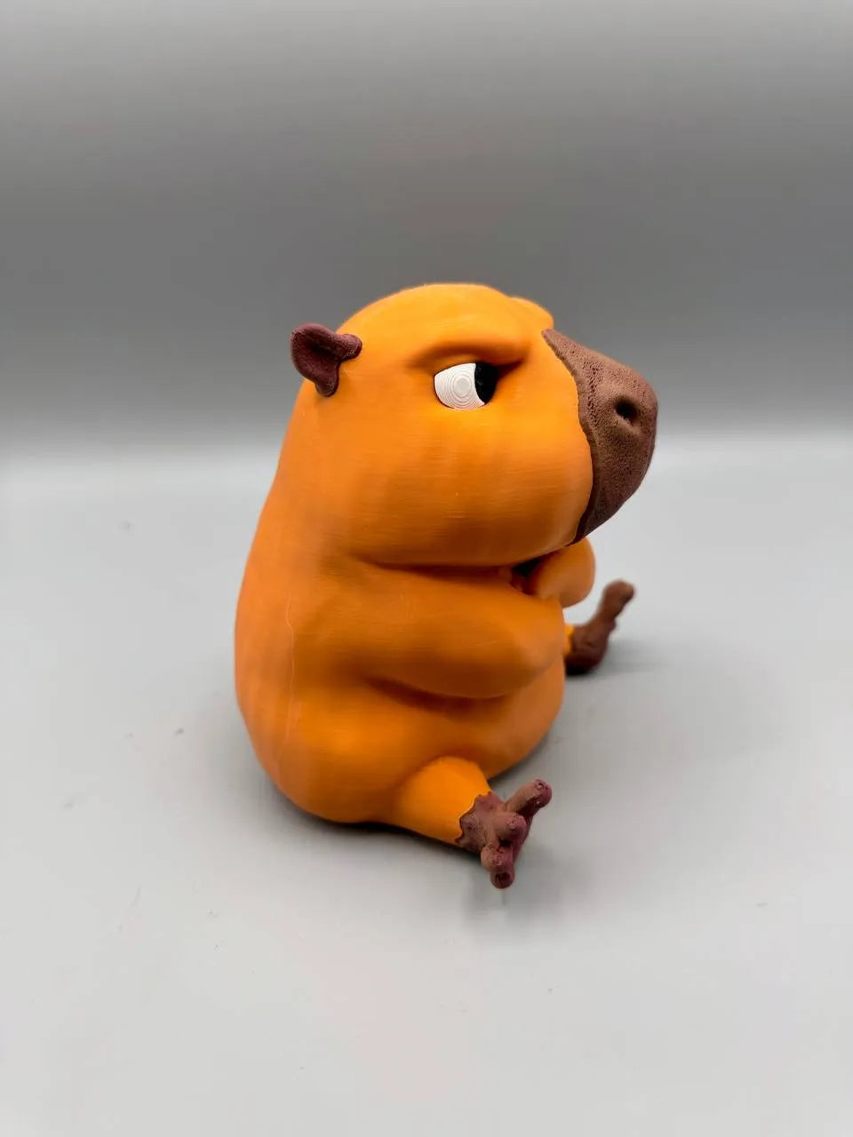 Grumpy Capybara