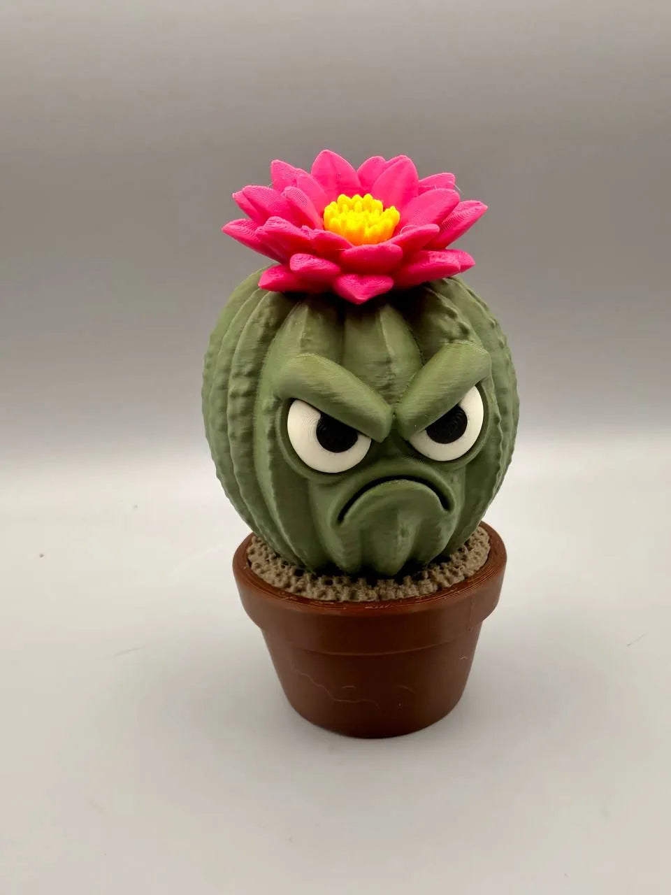 Grumpy Cactus