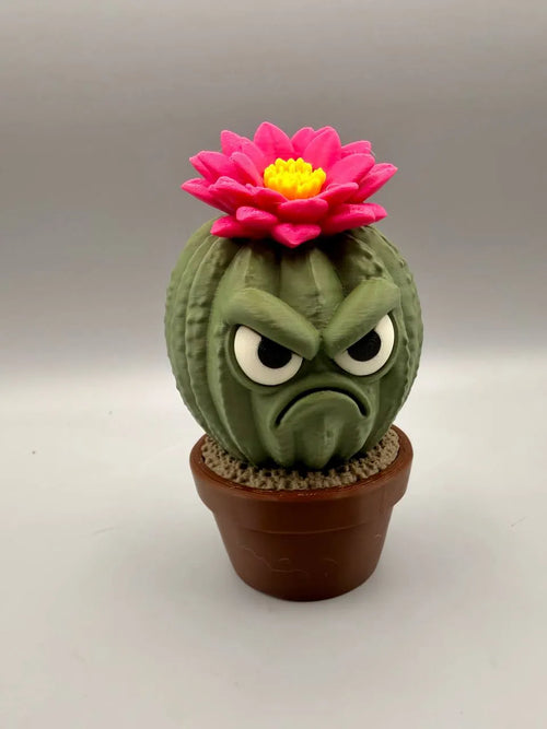 Grumpy Cactus