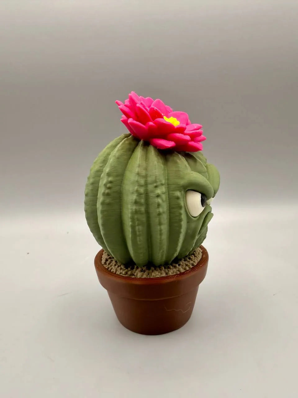 Grumpy Cactus
