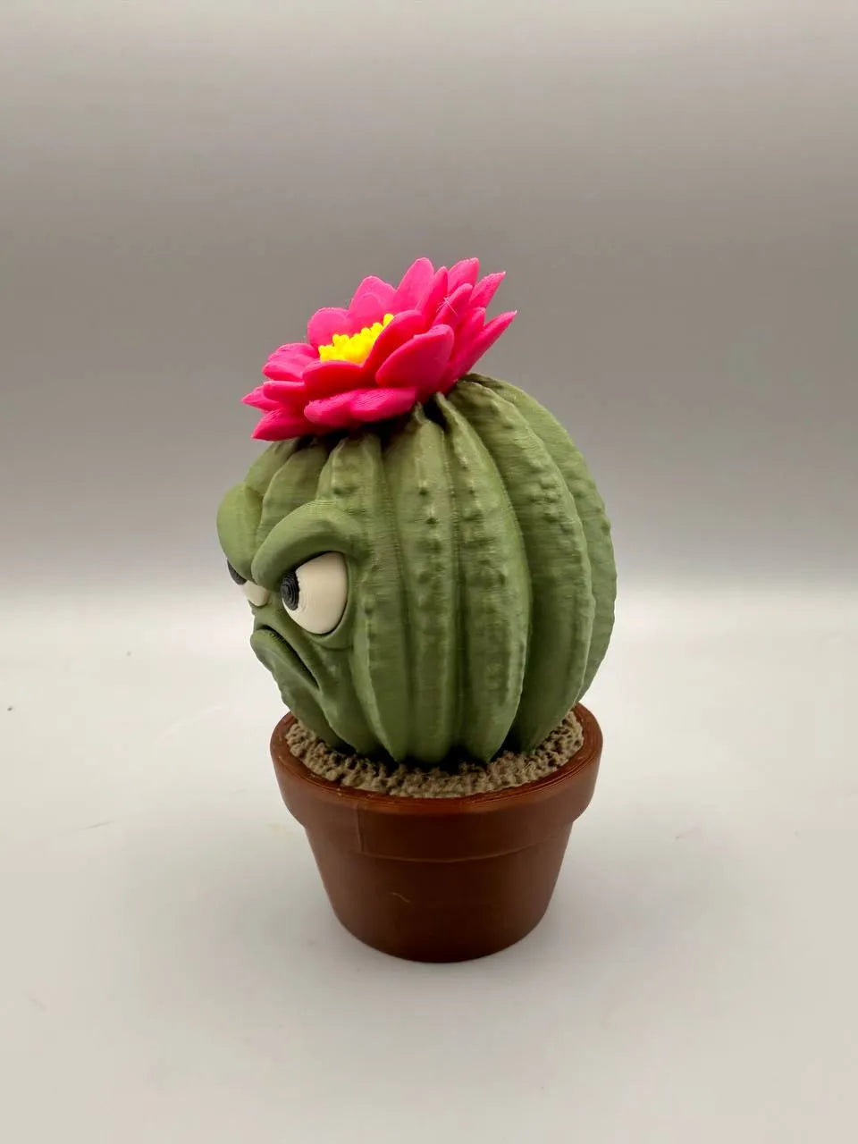 Grumpy Cactus
