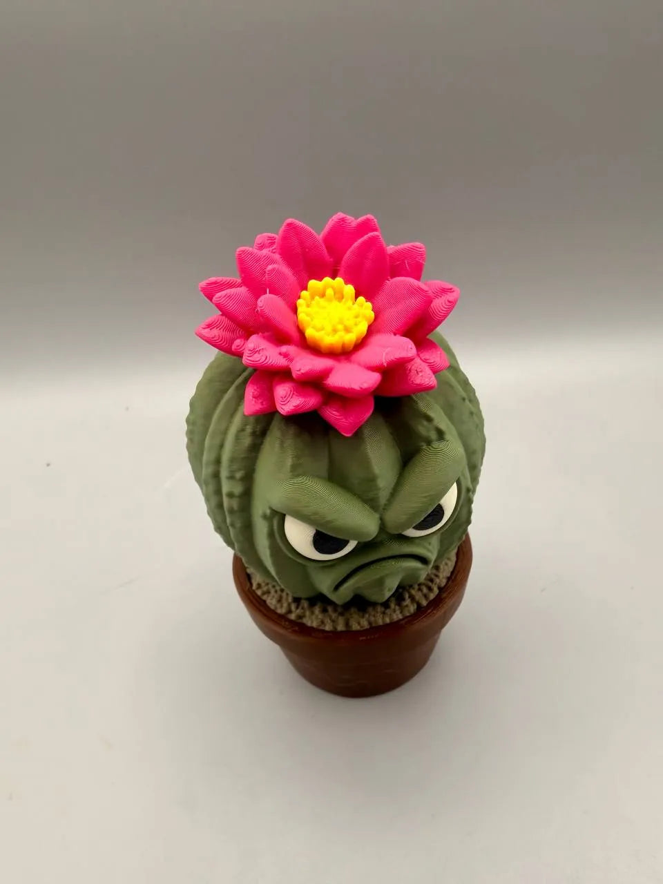Grumpy Cactus