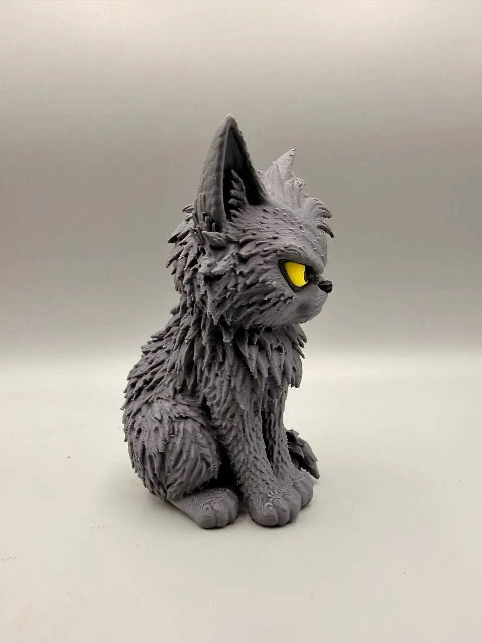 Grumpy Cat