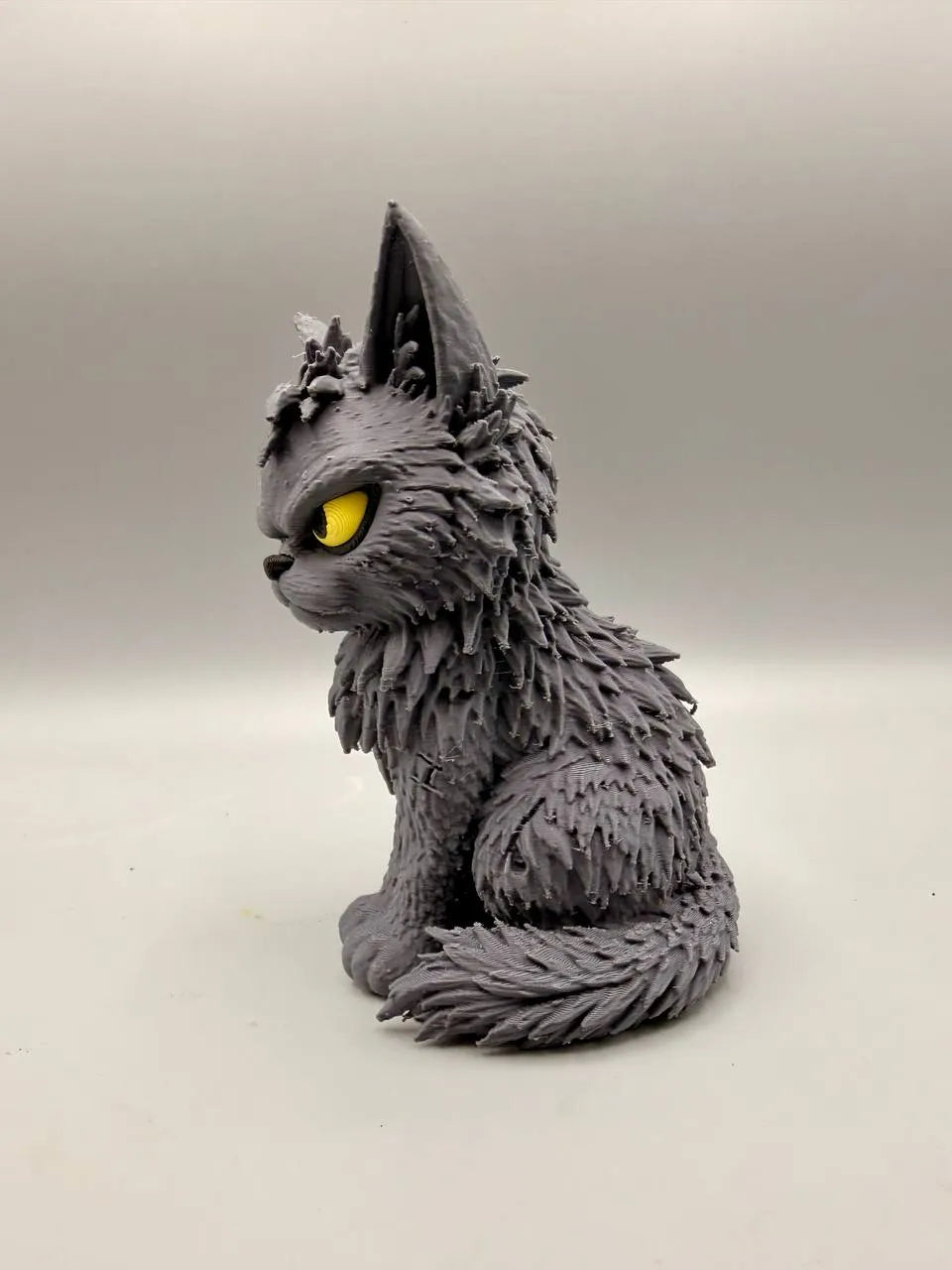 Grumpy Cat