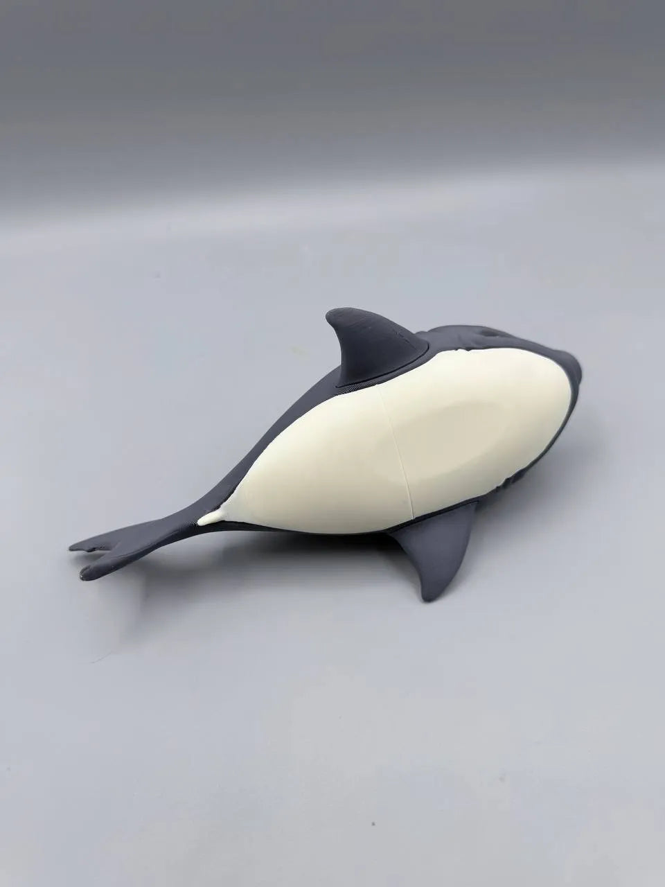 Grumpy Shark