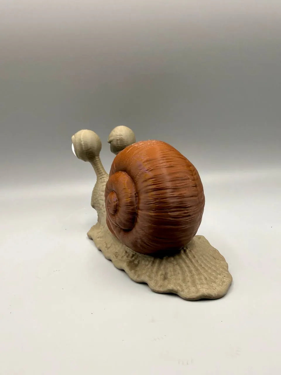 Grumpy Snail