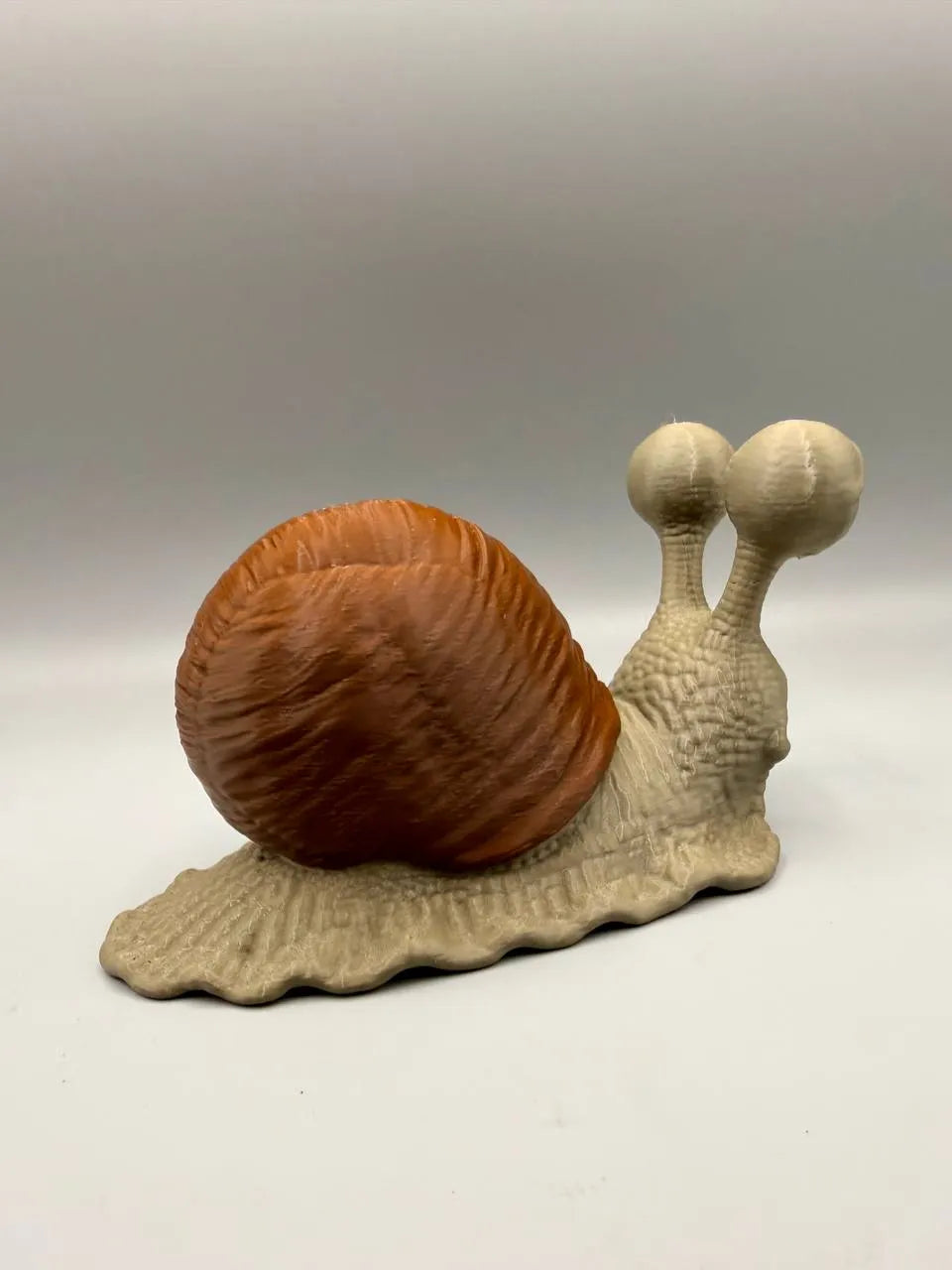 Grumpy Snail