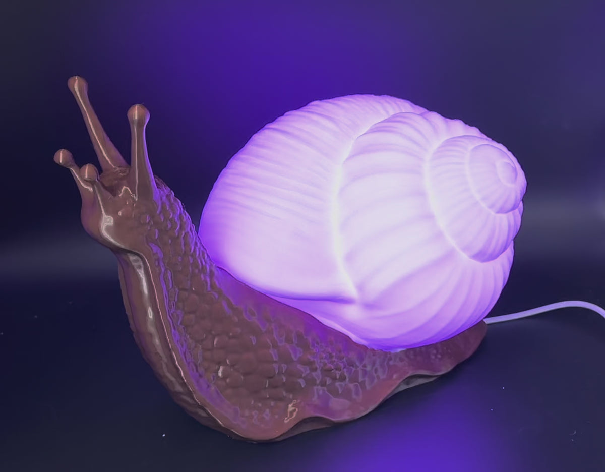 Snail LED Lamp in Choice of Colours for Bedroom, Living Room, etc.