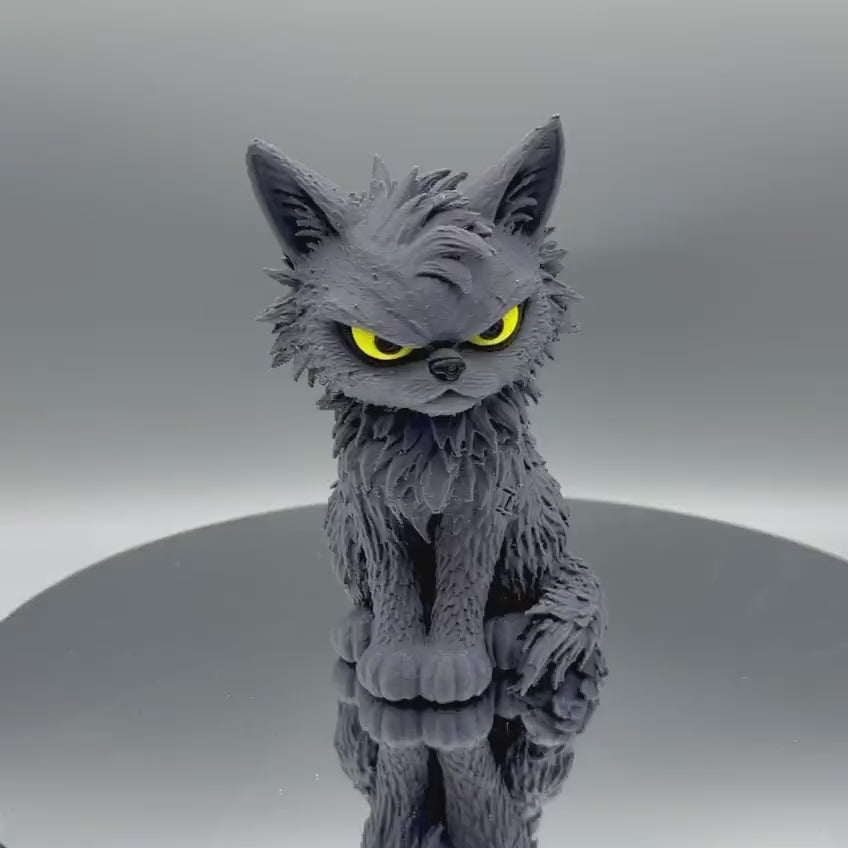 Grumpy Cat